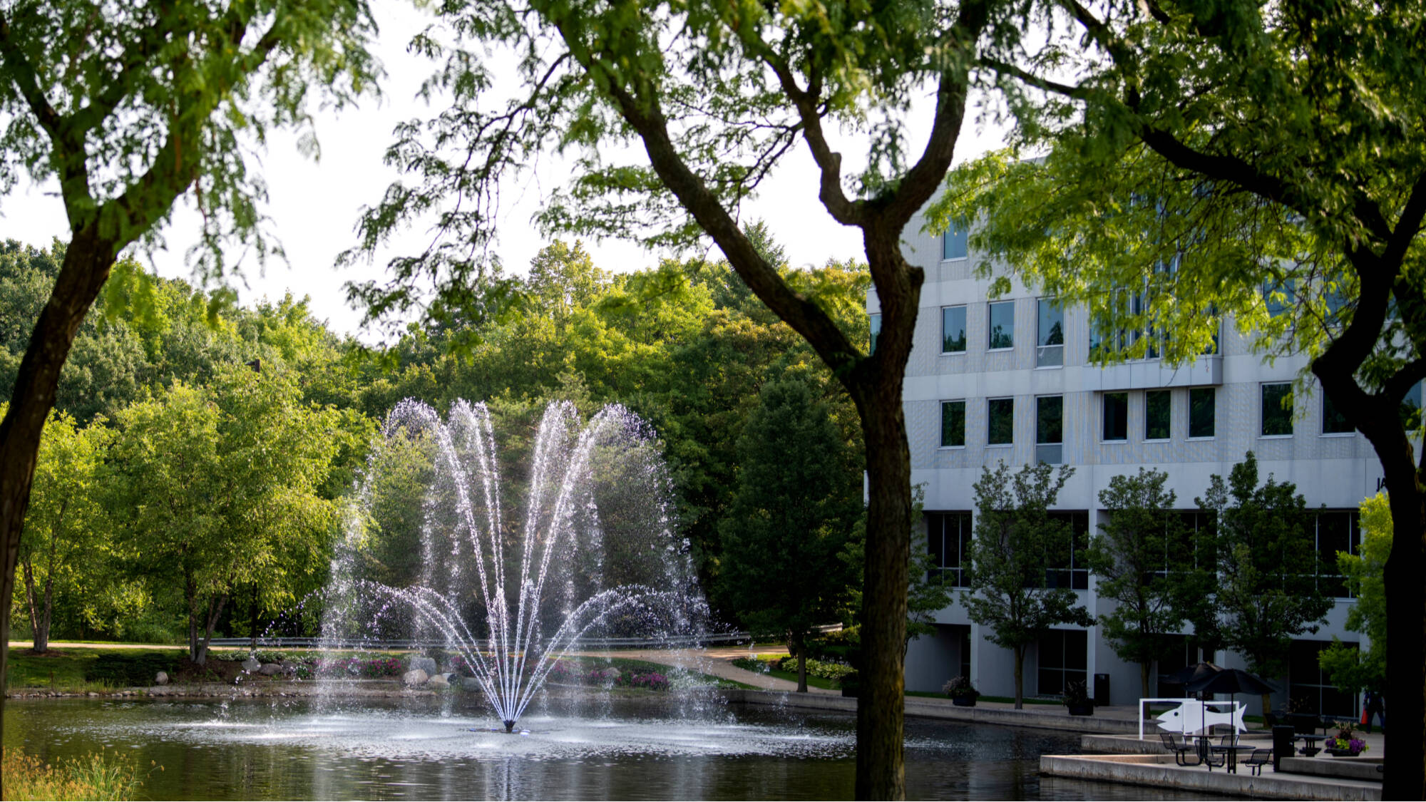 Zumberge fountain as seen between two trees.